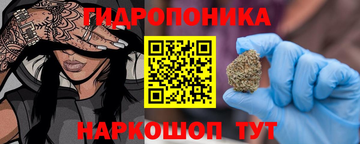 Канабис OG Kush Нарткала